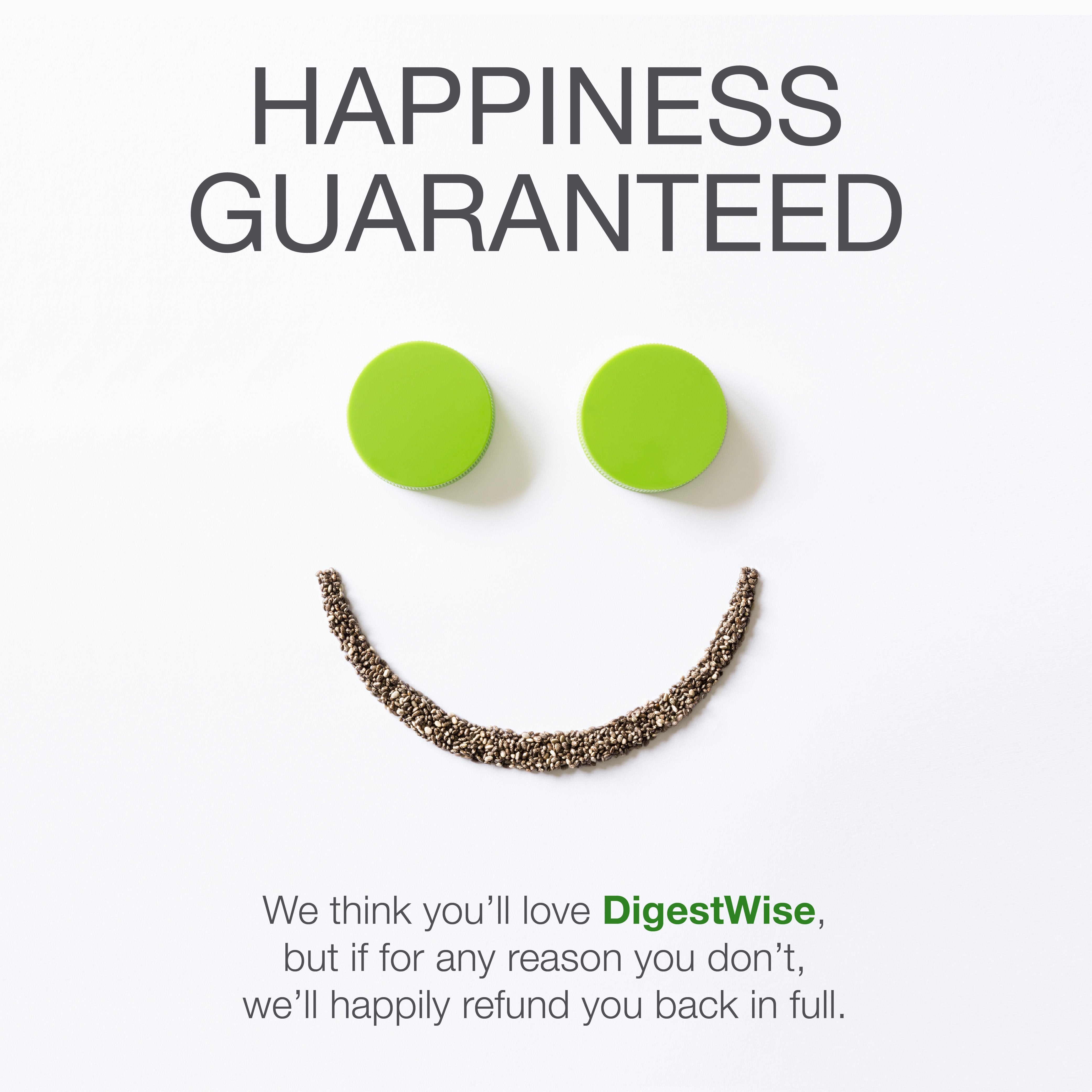 DigestWise – Powerful Digestive Enzymes -W